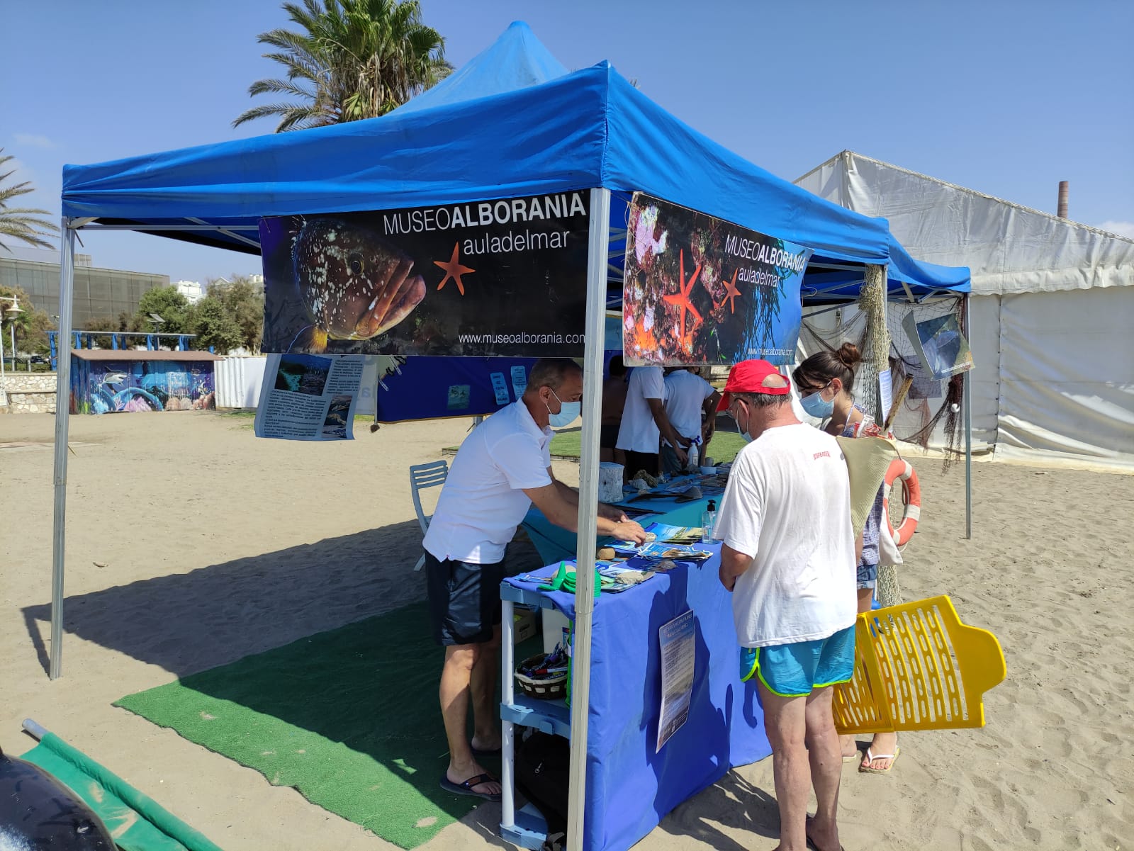 EL AYUNTAMIENTO Y EL AULA DEL MAR COMIENZAN HOY LAS XVIII JORNADAS DEL MAR, DEDICADAS A LAS ...