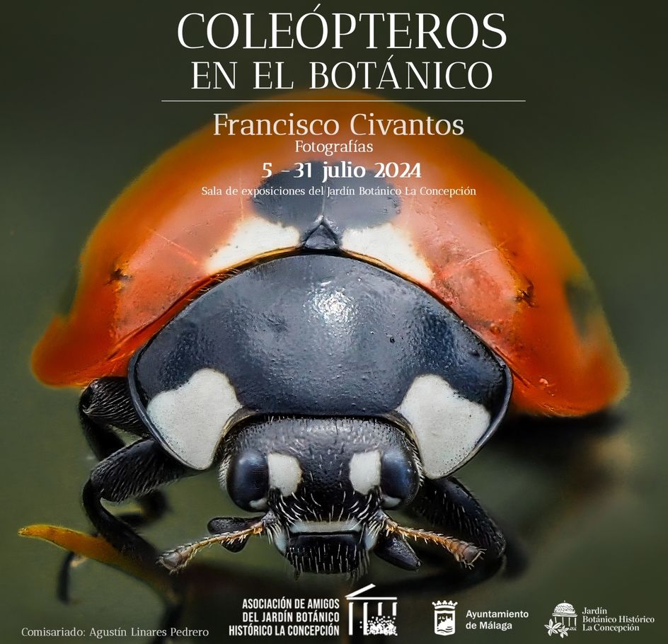 Exposición de Coleópteros en La Concepción