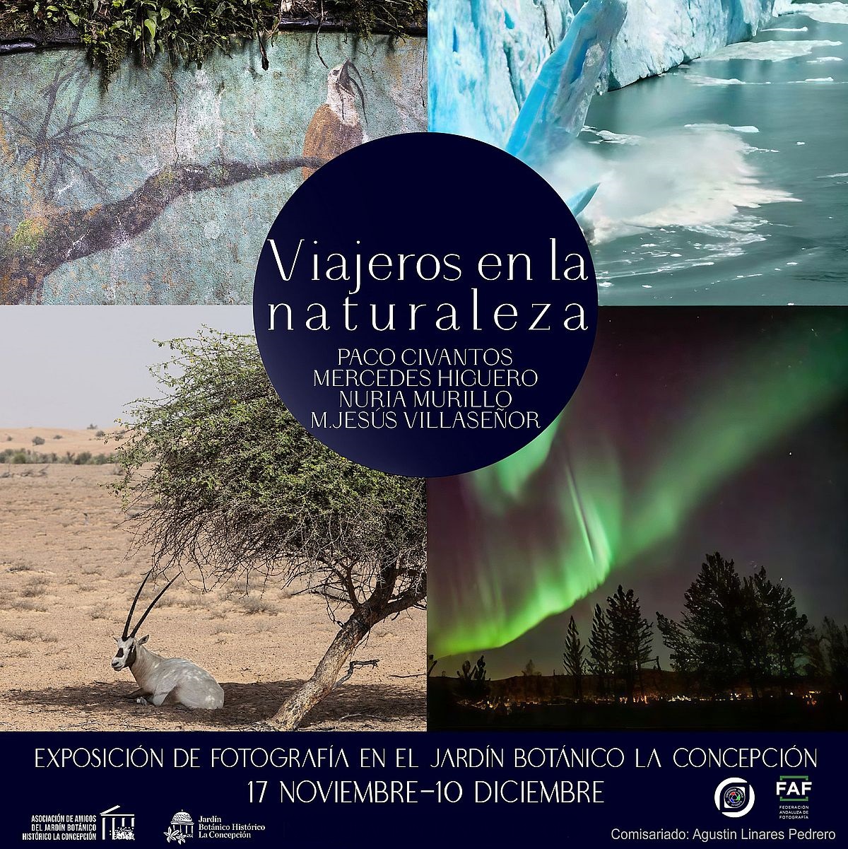 Exposición en La concepción, Viajeros en la Naturaleza