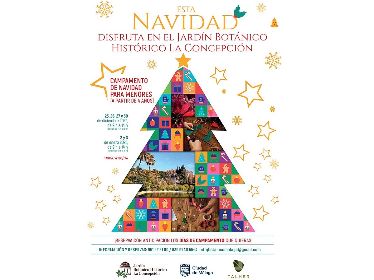 Campamento de Navidad en La Concepción