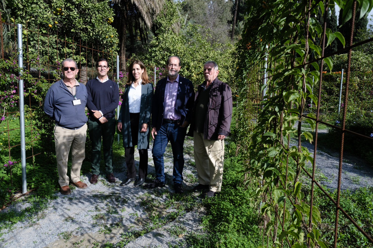 Laberinto vegetal en el Jardín Botánico-Histórico La Concepción