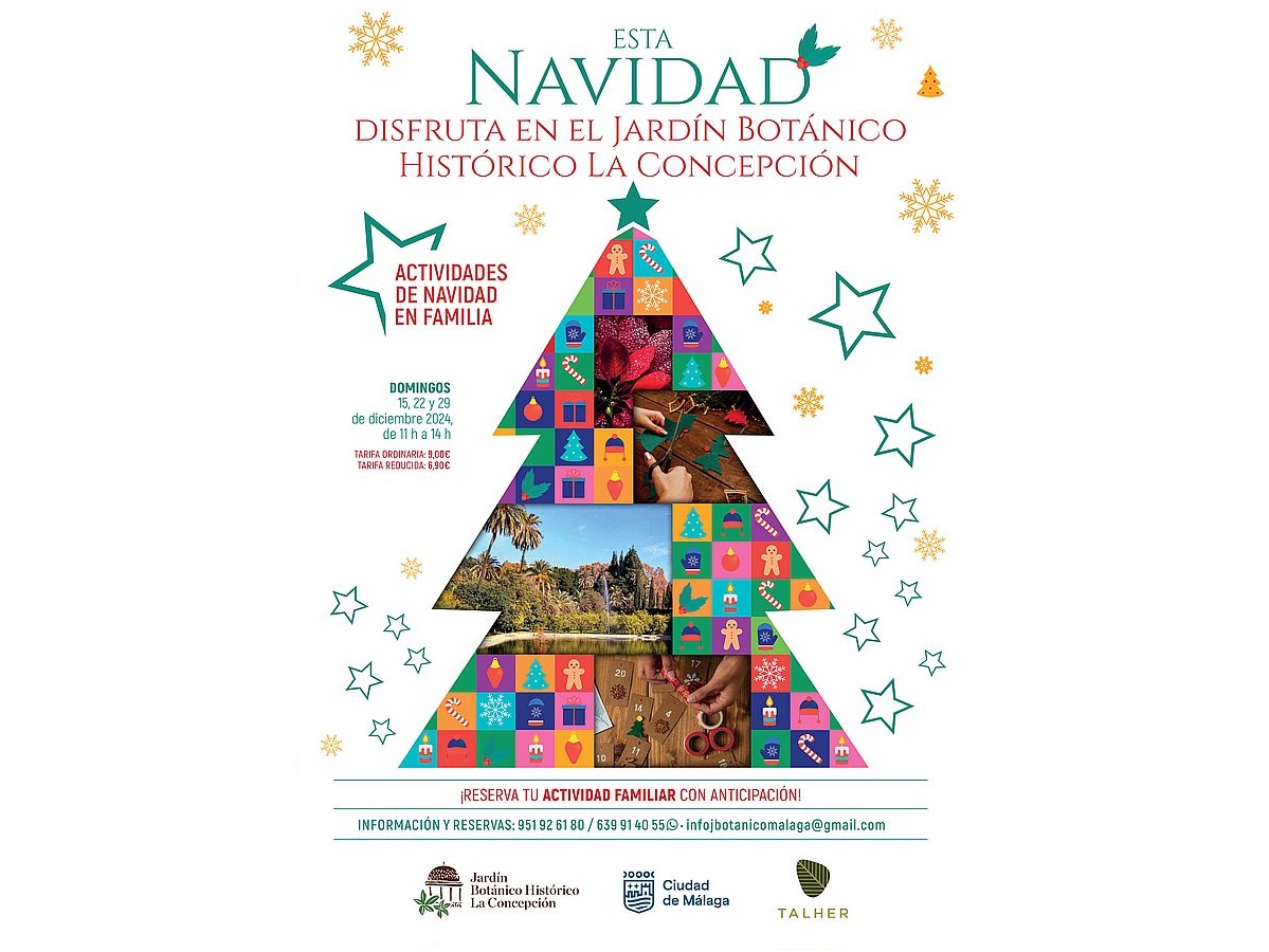 Actividades familiares de Navidad en La Concepción