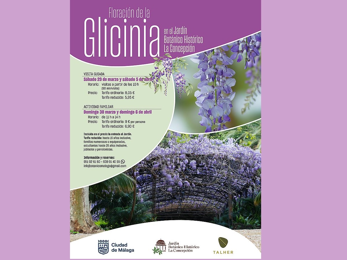 Especial Floración glicinia en La Concepción, Visitas guiadas y Actividades familiares